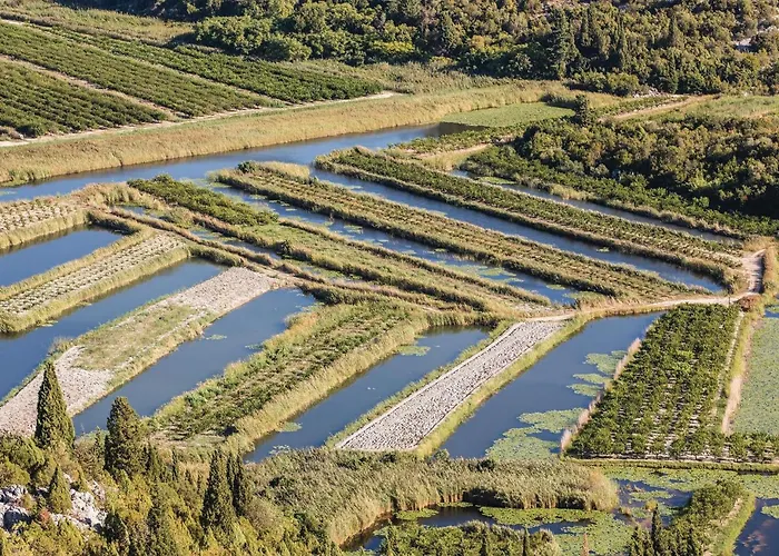 דירה 1 Bedroom Stunning In קומרנה